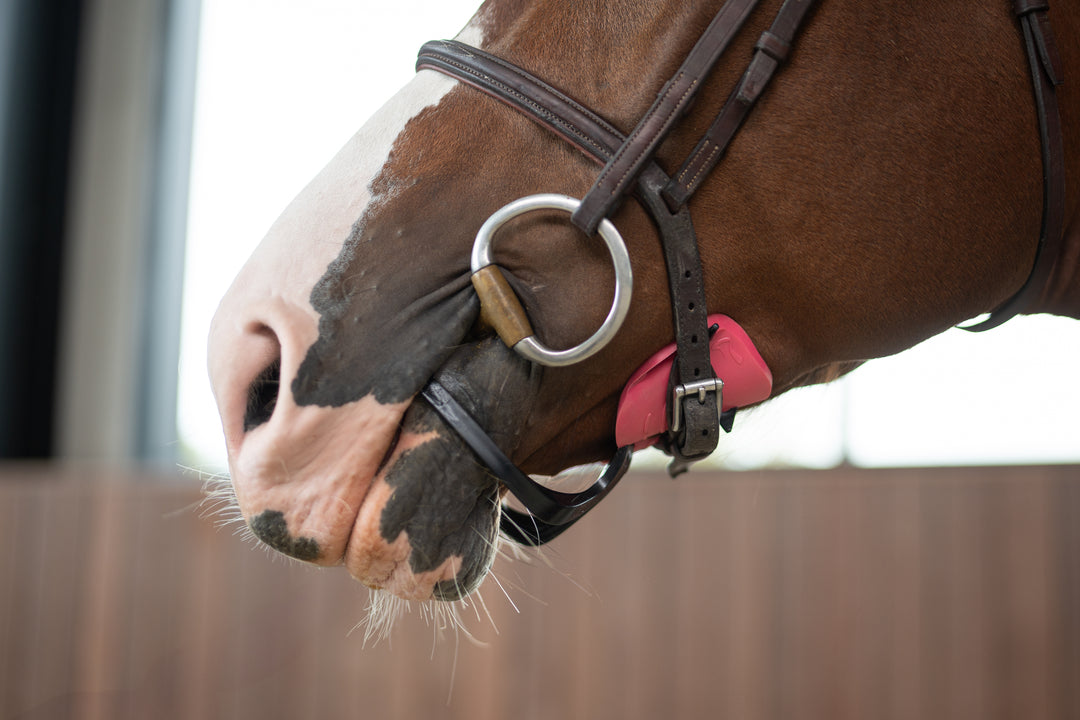 Starter Pack with 5 pairs of pads - PINK Special Breast Cancer Edition