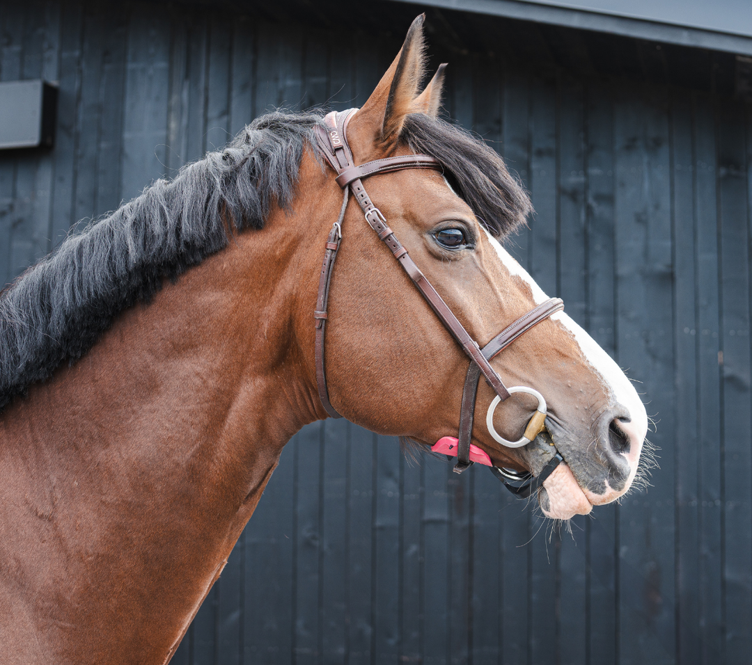 Discover Pack with 1 pair of Medium pads - PINK Special Breast Cancer Edition