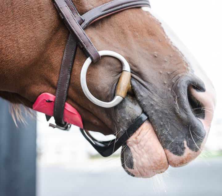 Discover Pack with 1 pair of Medium pads - PINK Special Breast Cancer Edition